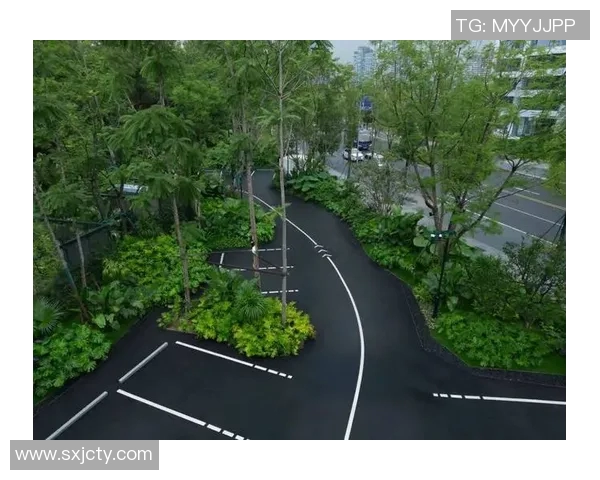 以运动场为中心探索城市公共空间的多功能利用与环境整治创新 以运动场为中心探索城市公共空间的多功能利用与环境整治创新