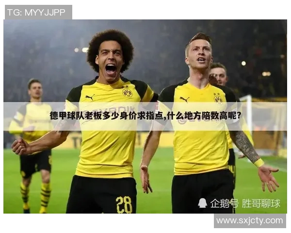 购买德甲球队条件:如何成为德甲俱乐部的所有者? 购买德甲球队条件:如何成为德甲俱乐部的所有者?