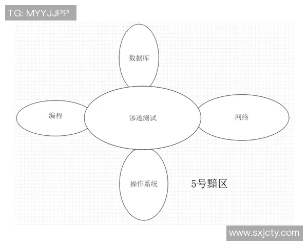 飞盘新手必看攻略从零基础到实力提升的全面指南